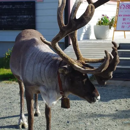Haltinmaa Prázdninový dům *