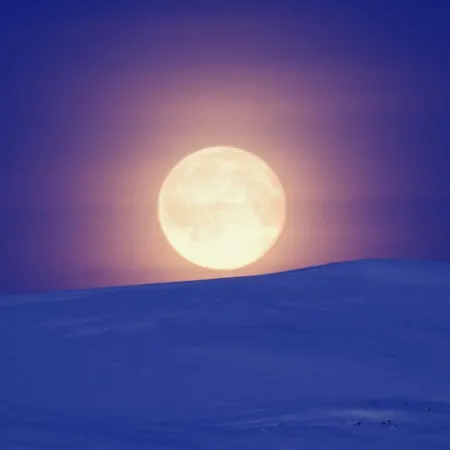 Tatil Evi Haltinmaa *