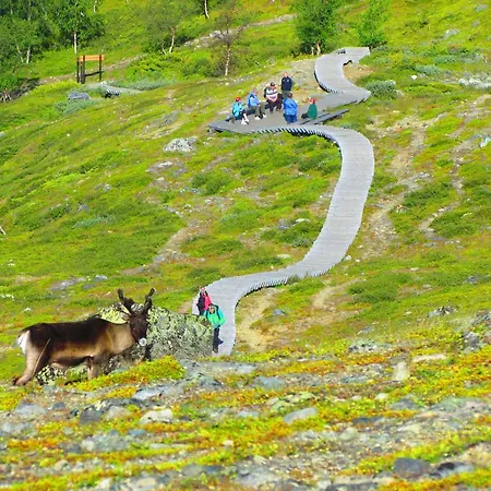 Haltinmaa *