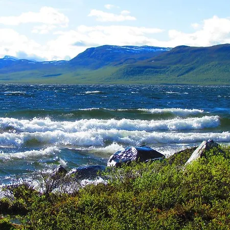 Haltinmaa